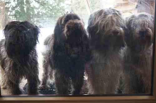 4doezen